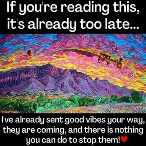 Random items below! - Picture 14 of 16